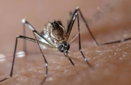 El municipio intensificó las tareas de concientización sobre el dengue