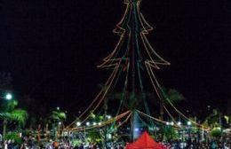 Encendido del árbol navideño en Plaza San Martín