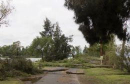 Informe del INTA por la situación en el Lago y en Plaza San Martín