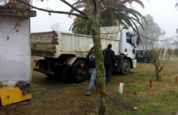 Comienzan las tareas de forestación